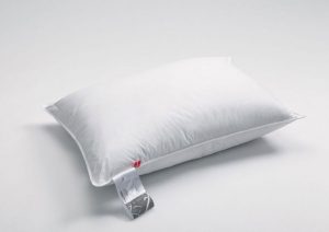 pillow ugly dyckling